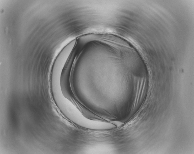 X0000086940864200705071416