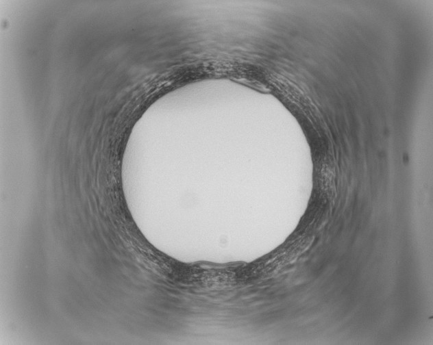 X0000086940865200705071416