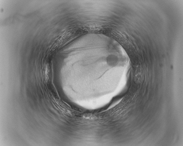 X0000086940866200705071416