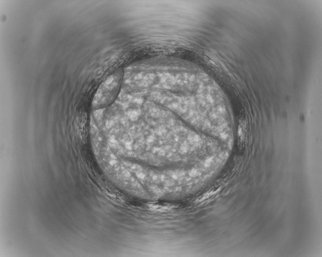 X0000086940867200705071416