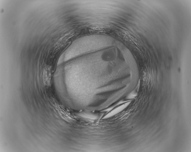 X0000086940868200705071415