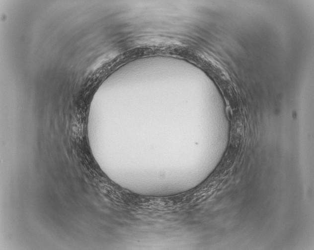 X0000086940869200705071415