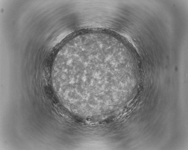 X0000086940871200705071415