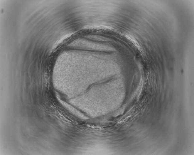 X0000086940872200705071415