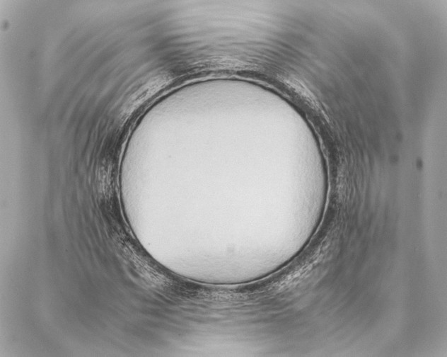 X0000086940873200705071415