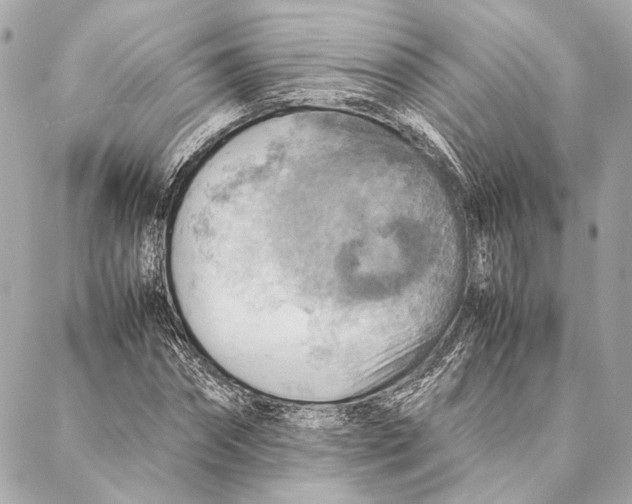 X0000086940874200705071415