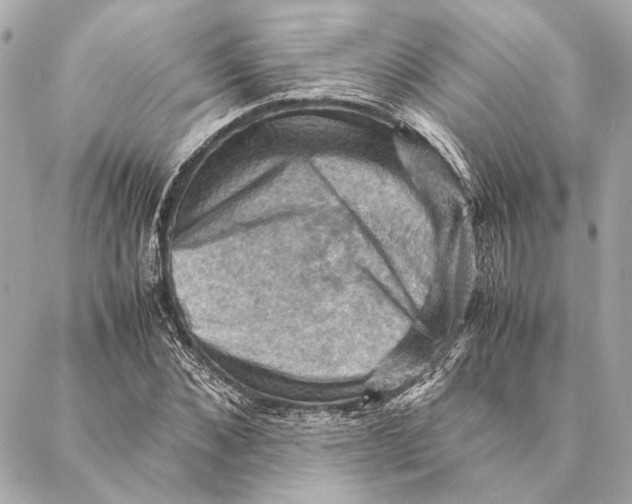 X0000086940876200705071415