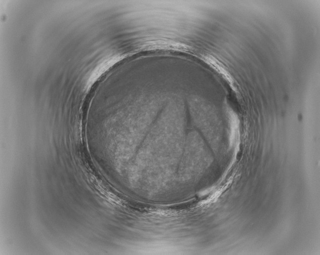 X0000086940877200705071415