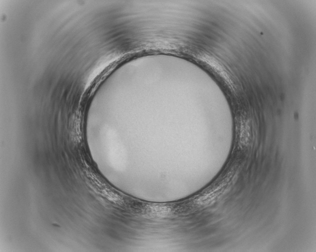 X0000086940878200705071415