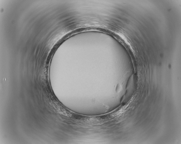 X0000086940879200705071415