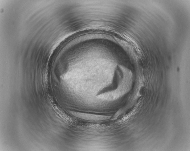 X0000086940880200705071415