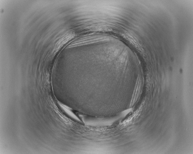 X0000086940881200705071415