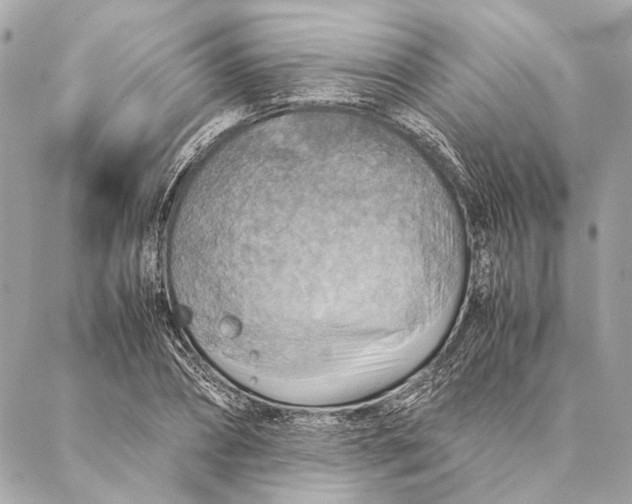 X0000086940882200705071415