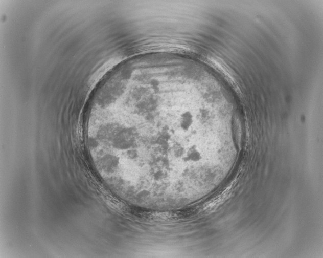 X0000086940883200705071415