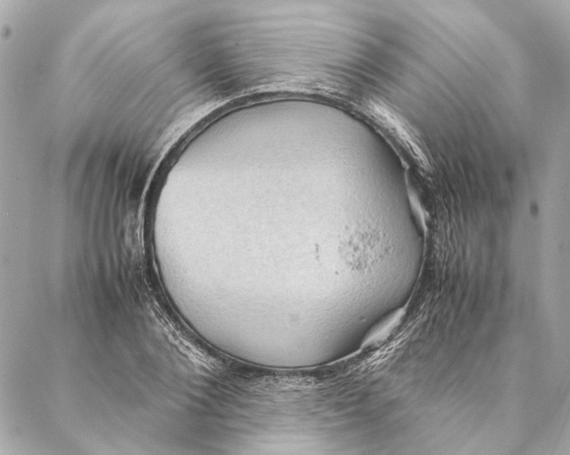 X0000086940884200705071415