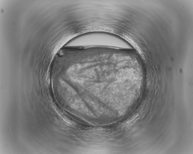 X0000086940885200705071415