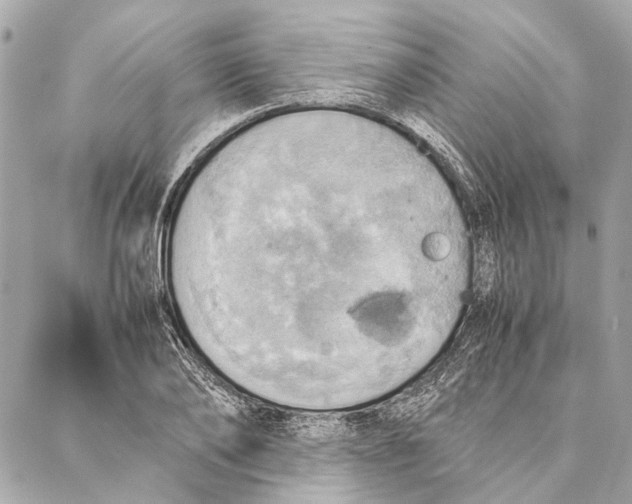 X0000086940886200705071415