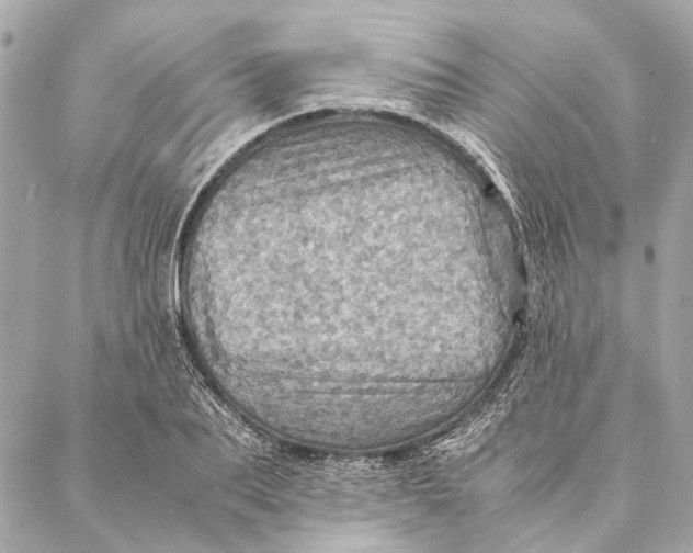 X0000086940887200705071415