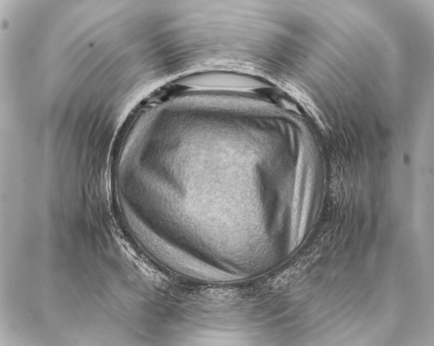 X0000086940888200705071415