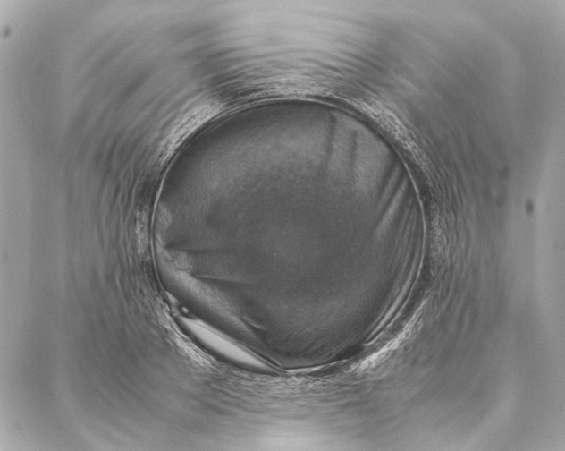 X0000086940889200705071415