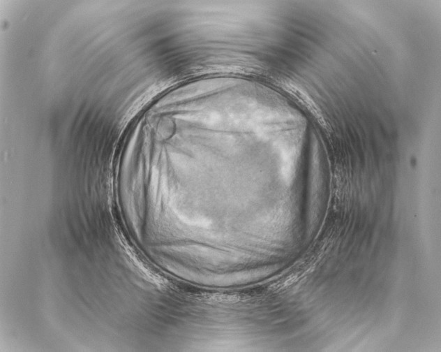 X0000086940890200705071415