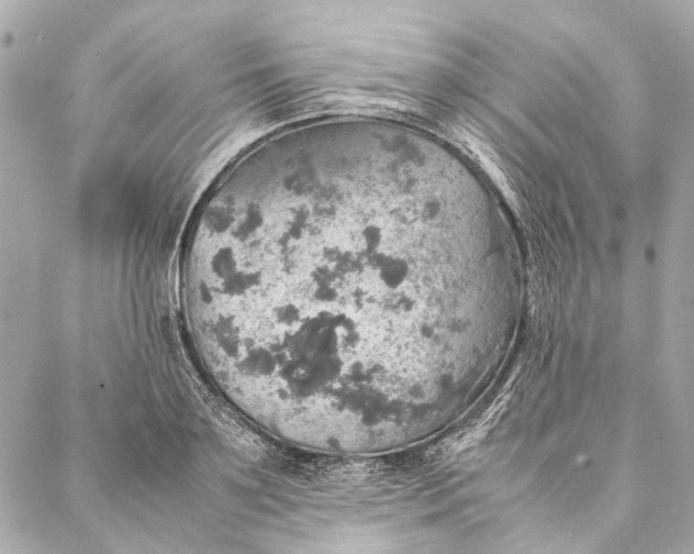 X0000086940891200705071415