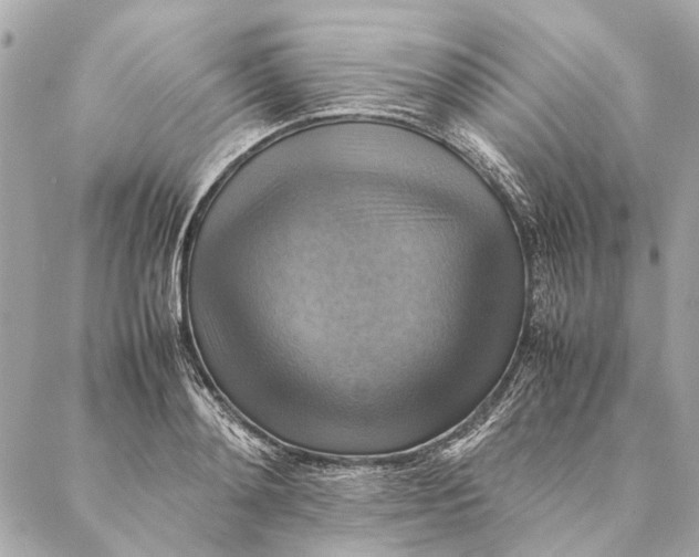 X0000086940892200705071415