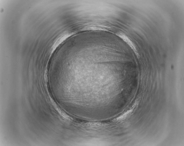 X0000086940893200705071415