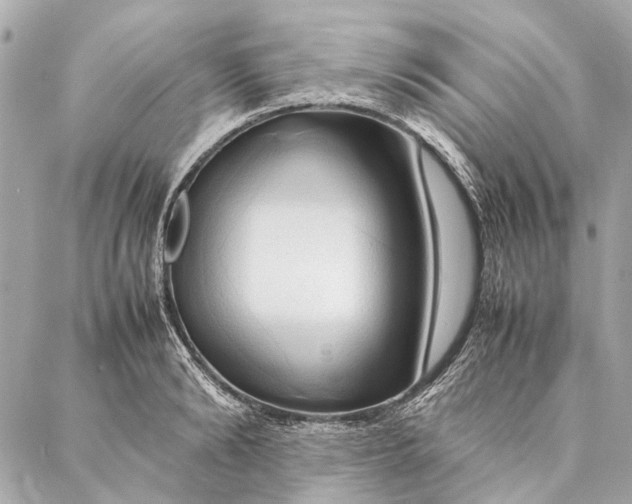 X0000086940894200705071415