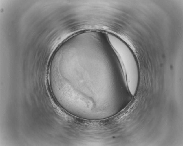 X0000086940895200705071415