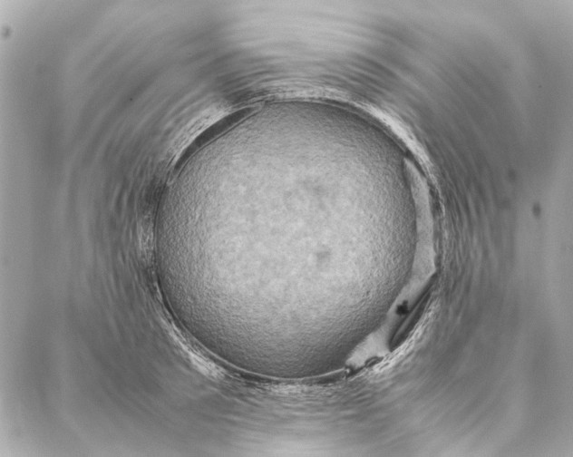 X0000086940897200705071415