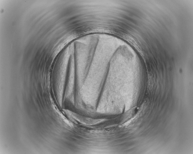 X0000086940898200705071415