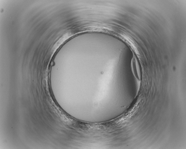 X0000086940899200705071415