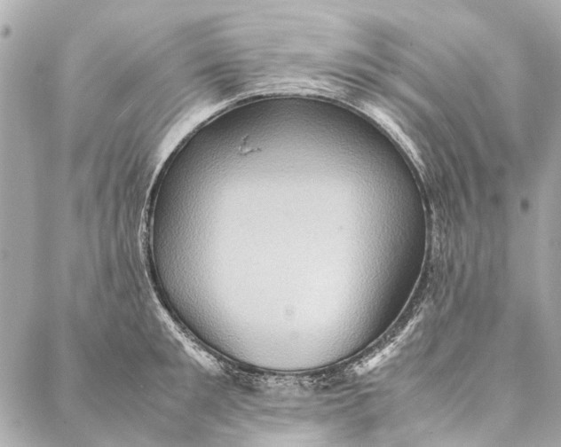 X0000086940901200705071415