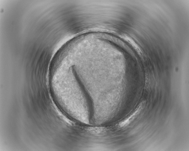 X0000086940902200705071415