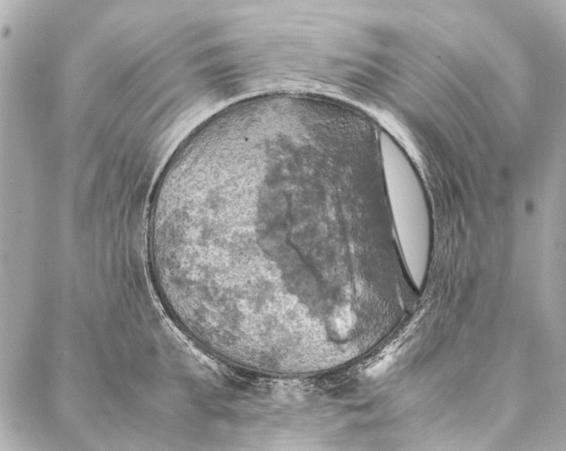 X0000086940903200705071415