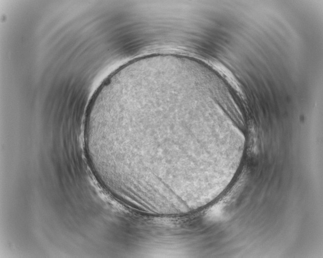 X0000086940904200705071415