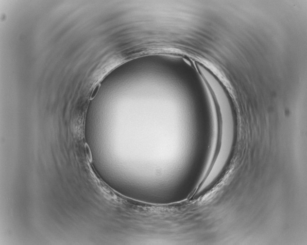 X0000086940905200705071415