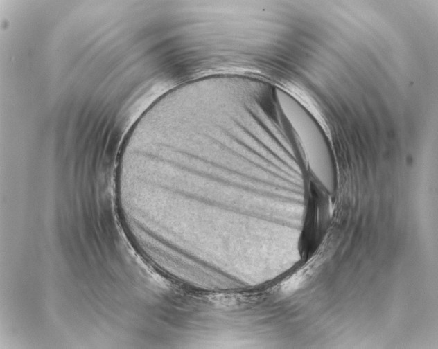 X0000086940906200705071415