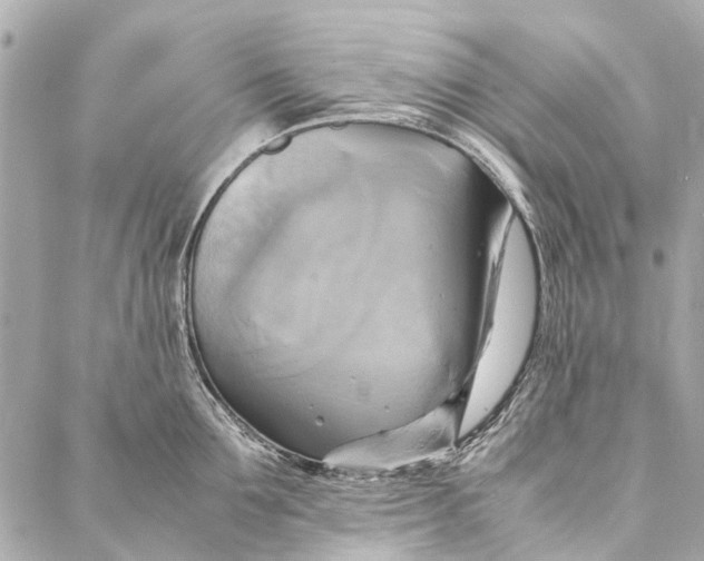 X0000086940907200705071415