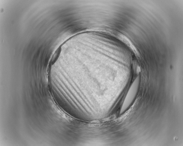 X0000086940908200705071415