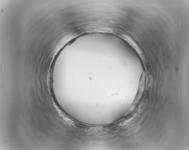 X0000086940909200705071415