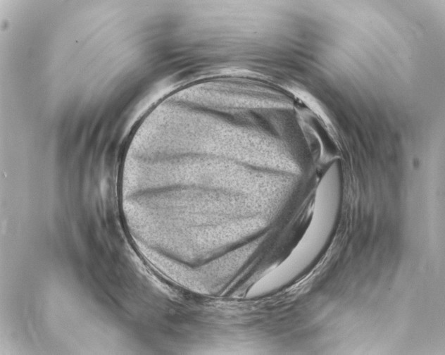 X0000086940910200705071415