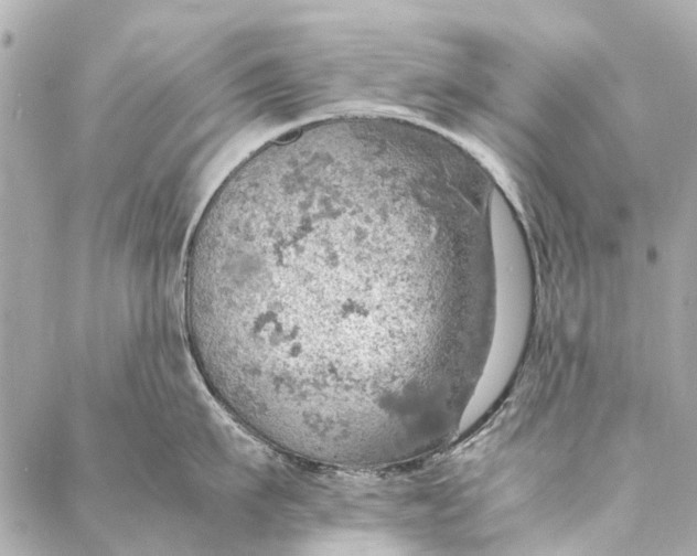 X0000086940911200705071415