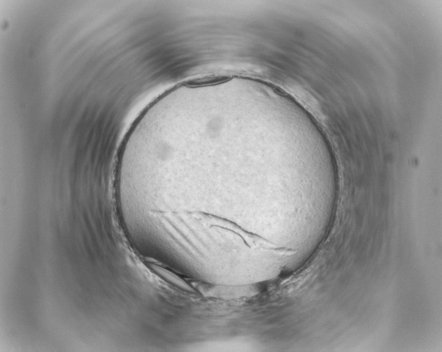 X0000086940912200705071415