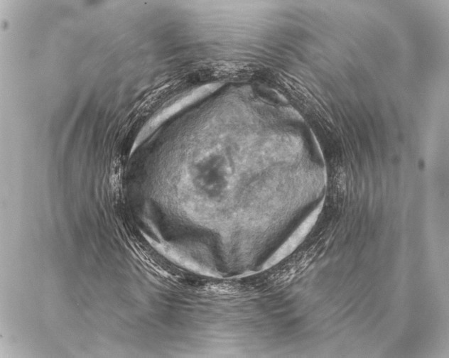 X0000086940914200705071414