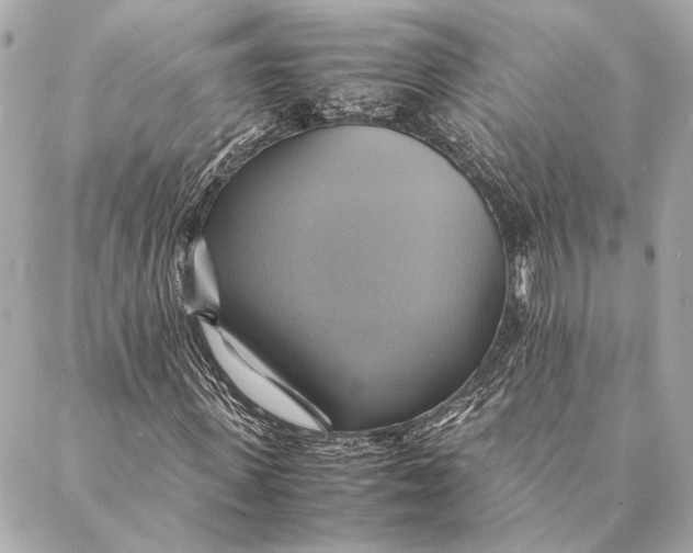 X0000086940915200705071414