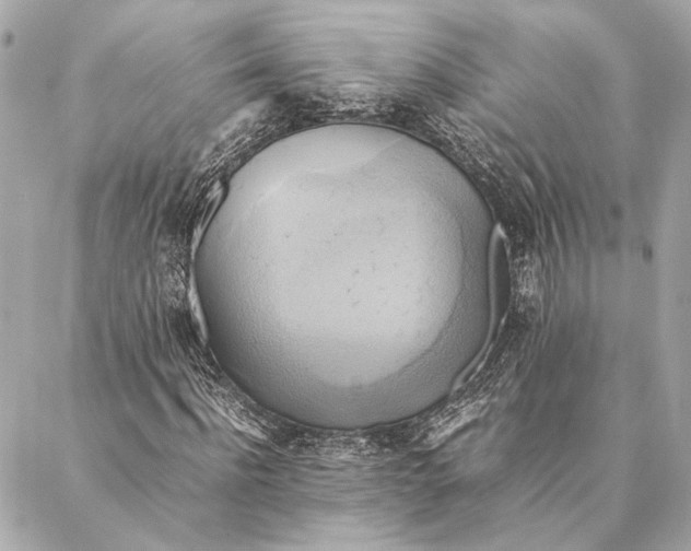 X0000086940916200705071414