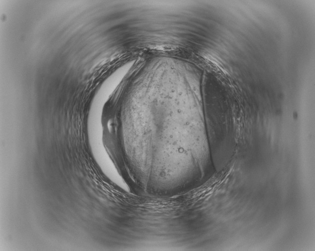 X0000086940917200705071414