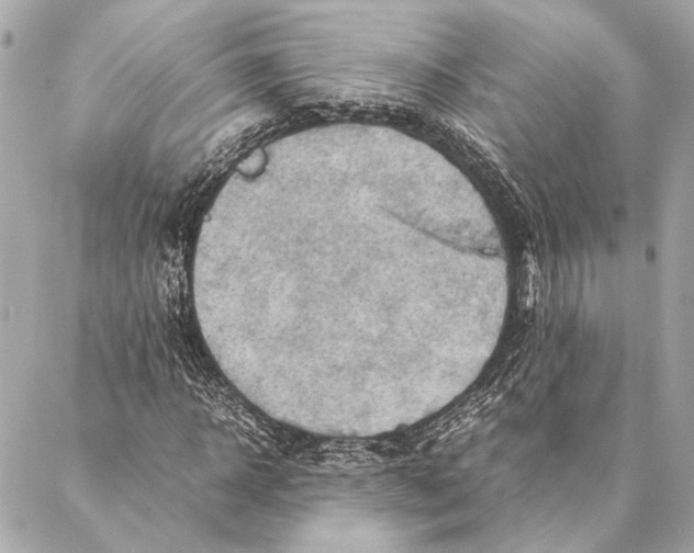 X0000086940918200705071414